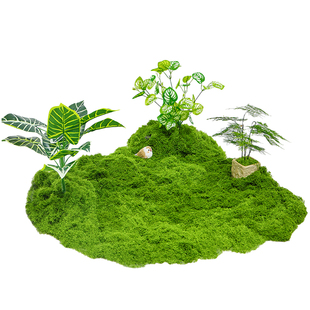 仿真苔藓草皮造景仿生假青苔微景观布置摆件草坪盆景盆栽铺面装饰