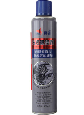 赛领cylion自行车去污飞轮除锈剂