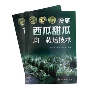 设施西瓜甜瓜均一栽培技术 曾剑波 一本西瓜甜瓜栽培技术的实用手册 西瓜、甜瓜种植者企业合作社以及农业技术人员阅读参考