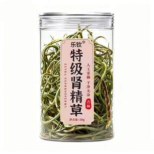 肾精草茶长白山东北养生茶小叶肾精黄金草茶伟肾正品官方野嗷嗷叫