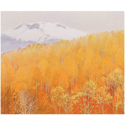 暖藻入户门地垫可擦免洗