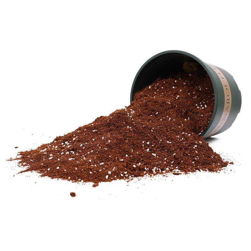 九尾狐专用土多肉颗粒土专用营养土种植土泥铺面石纯颗粒花土肥料