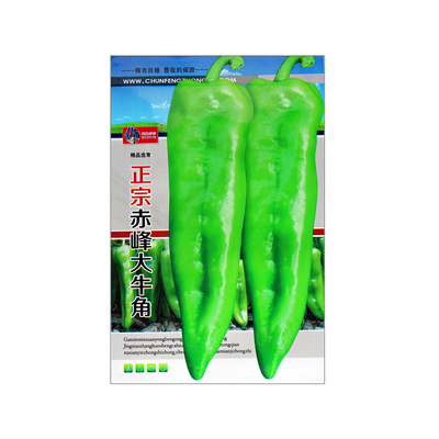 赤峰特大牛角椒出芽率高蔬菜种子