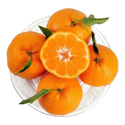 顺丰爆甜多汁高回购榜四川耙耙柑