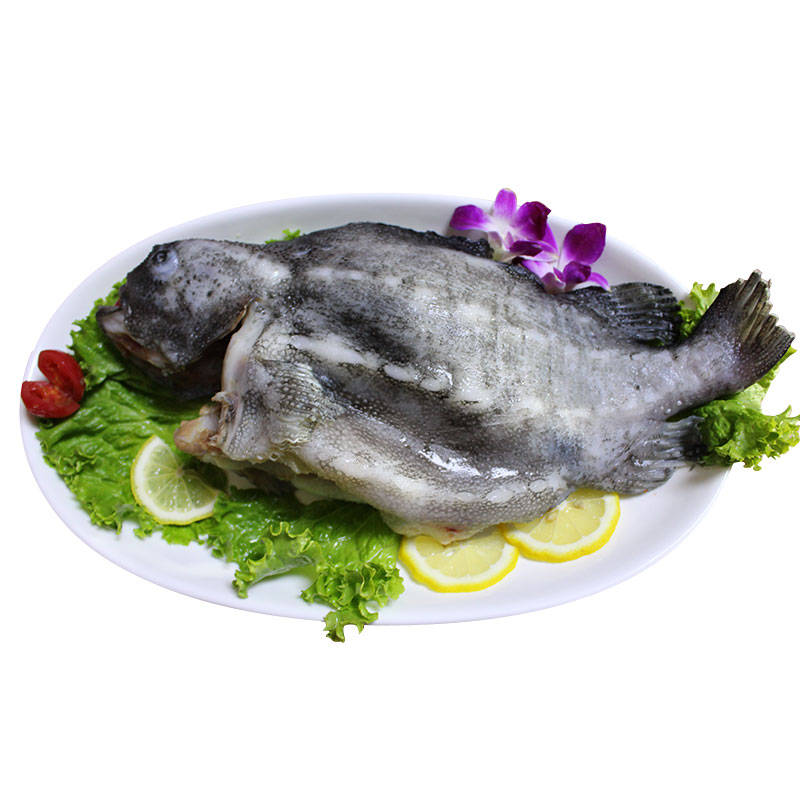 新鲜去砂海参斑冷冻去脏石斑鱼