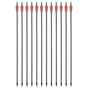 箭支箭头可换头混碳箭反曲弓成年人弓箭野外射箭美猎复合弓射击