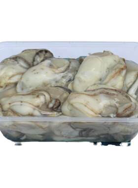 即食现剥海蛎子肉新鲜生蚝肉