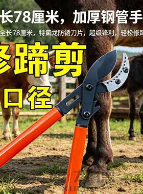 大口径修蹄牛羊修蹄剪牛羊猪跛蹄专用剪刀修蹄子神器牛羊养殖用品
