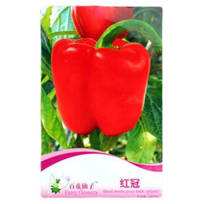 红冠甜椒种子红色甜椒种籽种籽辣椒四季菜椒灯笼椒蔬菜孑食用特大