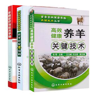 养羊技术书籍高效健康养羊关键技术+羊病诊疗与处方手册+科学自配羊饲料养羊书籍大全科学生态养羊技术大全羊病快速诊断防治肉羊书