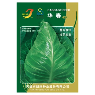 华春牛心甘蓝种子包心菜种籽甘兰秋包菜夏秋四季绿蔬菜种孑禾之元