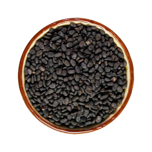 中药材盐补骨脂中药饮片中药材抓配实体店铺药房【饮片标准】500g