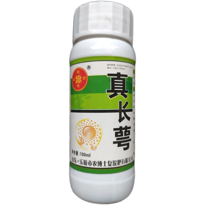 真长萼 番茄西红柿圣女果专用绿萼展萼灵拉长萼片美萼点花100ml