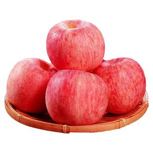 正宗洛川苹果延安特产地直发当季整箱新鲜水果陕西10斤礼盒红富士