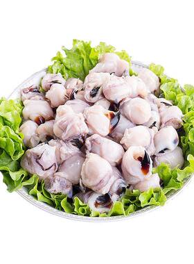 小号鱿鱼嘴新鲜冷冻目鱼嘴八爪鱿鱼嘴墨鱼嘴铁板烧烤穿串餐饮食材