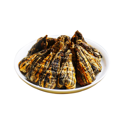 滇红宝塔云南凤庆古树金芽红茶