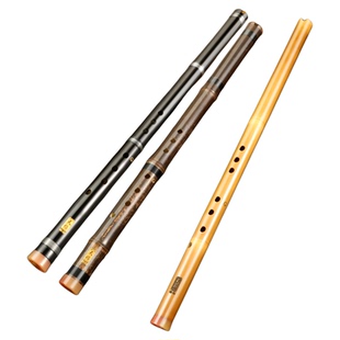 天鹅短箫八孔乐器初学者入门迷你专业紫竹洞箫8孔g调官方旗舰店