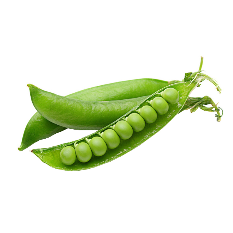 蔬菜台湾奇珍长寿四季甜脆豌豆