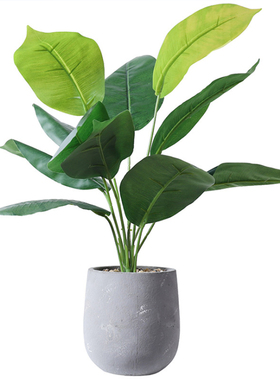 ins北欧室内客厅仿真植物盆栽