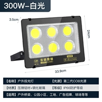 Golden Diamond Project-300W-Zhengbai