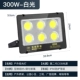 Golden Diamond Project-300W-Zhengbai