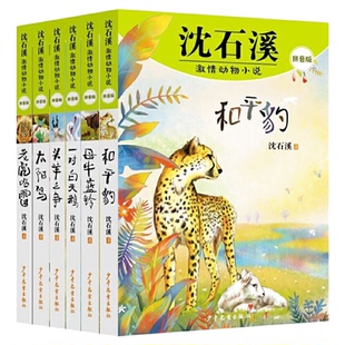 沈石溪激情动物小说拼音版太阳鸟和平豹母牛蓝铃老虎哈雷头羊之争一对白天鹅 6-10岁小说大王平装