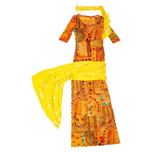 女神的新衣肚皮舞服装2024新款秋练功服baladi演出服印花袍子B134