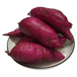 产地直销正宗海南澄迈富硒桥头地瓜原产地新鲜板栗红薯沙地包邮