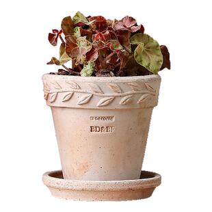 青野 DEROMA 意大利进口红陶土盆三角梅花盆透气手工粗陶月桂花环