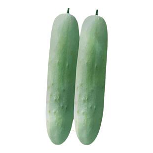 奶油黄瓜10g白黄瓜种子孑籽杂交高产春夏秋蔬菜籽别名胡瓜王瓜勤