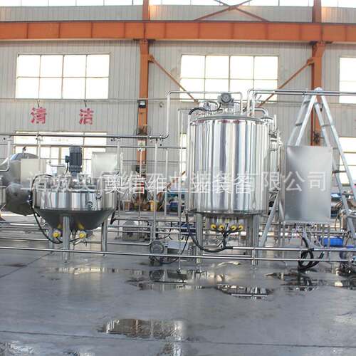 全自动乳酪加工设备 小型那拉生产机器 酸奶疙瘩制作生产线