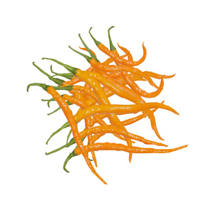 衡东三樟黄贡椒原产地直供辣子现摘现发3斤新鲜湖南特产黄辣椒