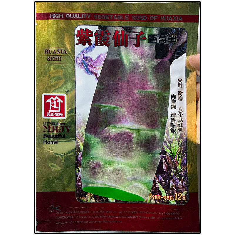 紫霞15g耐寒莴笋种子紫红皮青肉