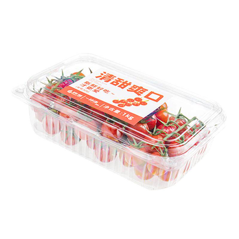 【2斤顺丰包邮】串收小番茄新鲜小西红柿现摘樱桃番茄实惠装