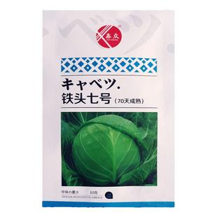 日本铁头60甘蓝包菜种子卷心菜种籽大头菜籽圆白菜种子莲花白种孑