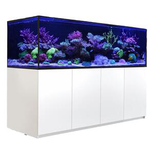 海水珊瑚缸底滤缸海缸海水缸全套