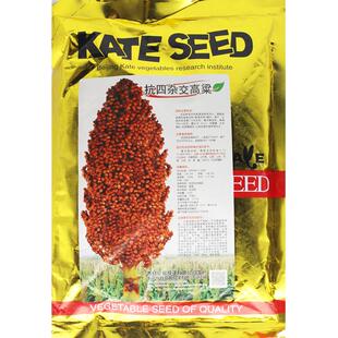 杂粮种子 抗四杂交高粱种子 矮生抗旱高产红高粱 高产酿酒高粱籽