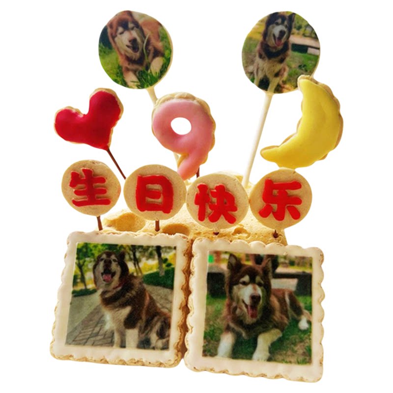 小宠一狼宠物蛋糕狗生日饼干零食定制狗猫咪照片插牌棒棒糖奶片