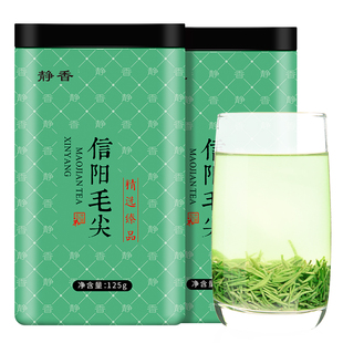 毛尖茶叶2025年新茶静香信阳毛尖雨前特级嫩芽浓香耐泡绿茶250g