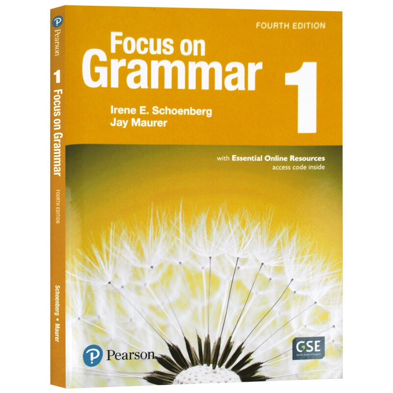 专注语法1级别 学生用书 Focus on grammar Level 1 英文原版书 英语语法学习 语法辅导书 进口英语书籍 Pearson Education ESL