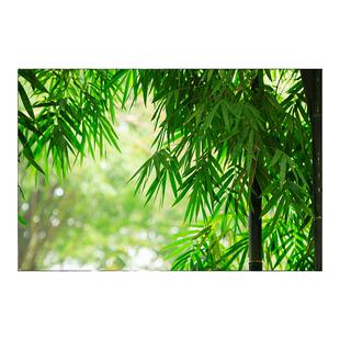 竹林挂画中式厅堂客厅餐厅风景装饰画办公室风水招财竹报平安壁画
