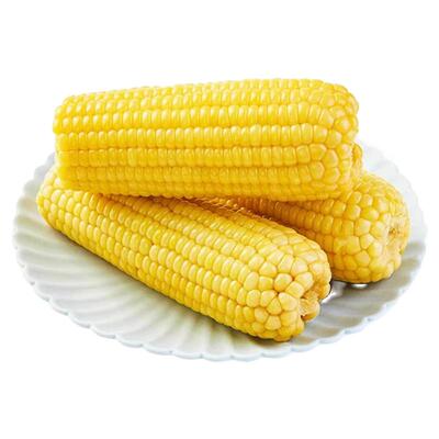黄糯玉米棒250g大棒铝箔包装