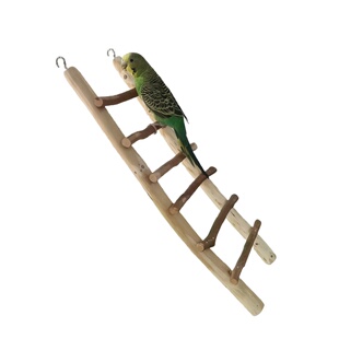 鹦鹉爬梯实木鸟梯子长木梯爬楼梯鸟梯子育鸟缘鸟用品攀爬玩具云梯