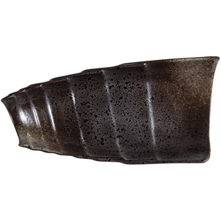 创意复古陶瓷盘子异形盘竹笋形盘凉菜寿司盘特色菜酒店餐具商用