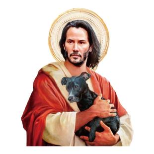 TLP反光车贴 疾速追杀宠物狗狗的天使John Wick电影玻璃漆面贴纸