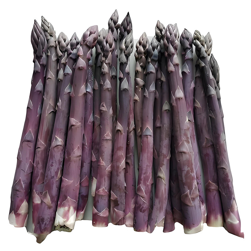 紫芦笋种子四季蔬菜种子