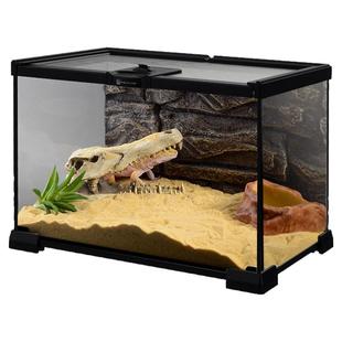 BG蜘蛛饲养箱生态爬虫爬宠饲养缸雨林造景玻璃缸螳螂甲虫昆虫蝎子