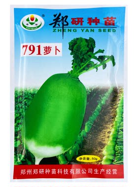 郑研791萝卜种子水果萝卜