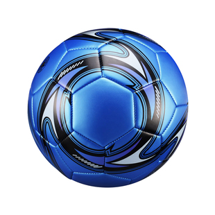 正品小学生专用球真皮幼儿园儿童3号成人5号训练中考4号耐磨足球