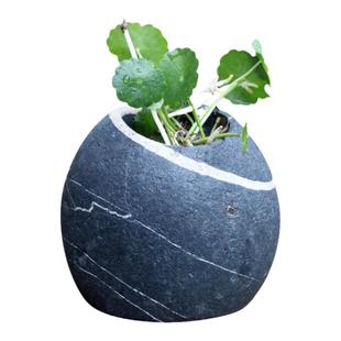 天然石头花盆立式插花铜钱草花瓶 笔筒茶盘装饰 迷你水培花器包邮